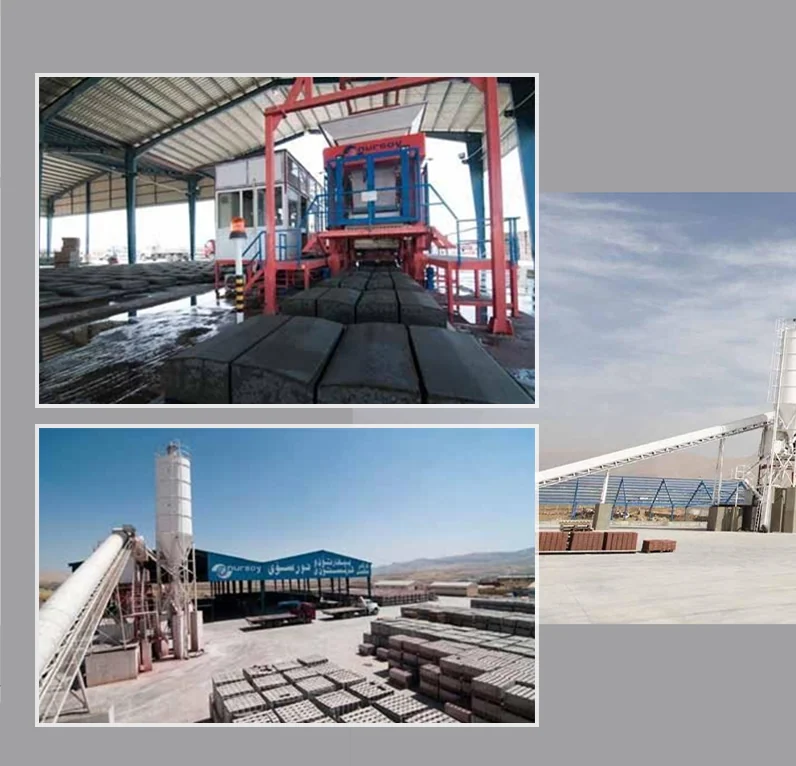 Paving Stone Plant
