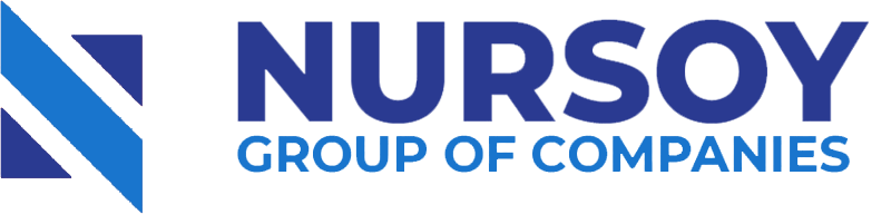 Nursoy Group